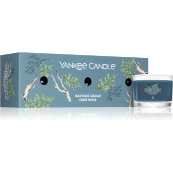 Yankee Candle Bayside Cedar set cadou
