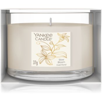 Yankee Candle Little Luxuries Slow Bloom lumânare votiv