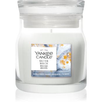  Parfumuri pentru casa, Yankee Candle Silver Birch lumânare parfumată Signature - Sellmag.ro