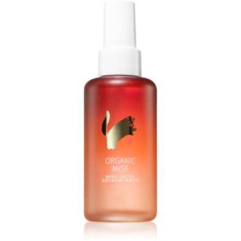 Yope Rose Cactus Essential lotiune pentru fata notino.ro