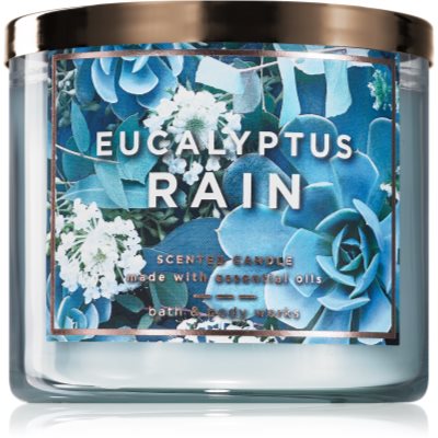 Bath & Body WorksEucalyptus Rain