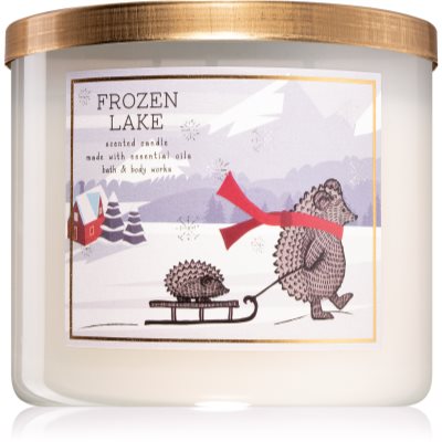 Bath & Body Works Frozen Lake vela perfumada Bath & Body Works Frozen Lake vela perfumada