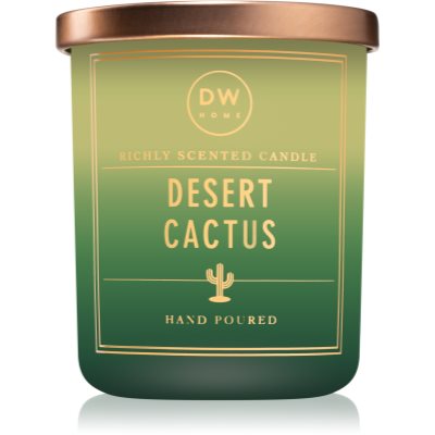 DW HomeDesert Cactus