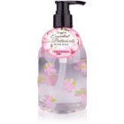 Accentra Essential Botanicals Hand Soap