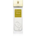 Alyssa Ashley Cedro Musk