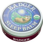 Badger Sleep