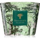 Baobab Collection Sacred Trees Touba