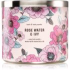 Bath & Body Works Rose Water & Ivy