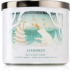 Bath & Body Works Evergreen