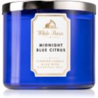 Bath & Body Works Midnight Blue Citrus