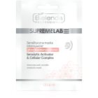Bielenda Professional Supremelab Cellular