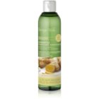 Bottega Verde Zenzero