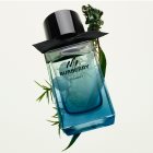 Burberry Burberry Element Eau de Toilette for men