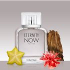 calvin klein eternity now cologne