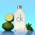 calvin klein one cologne for men