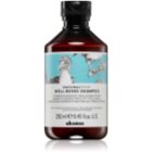 Davines Naturaltech Well-Being Shampoo