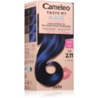 Delia Cosmetics Cameleo Taste My Hair poolpüsivärv (semi-permanent