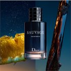 dior sauvage notino