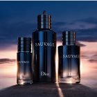 【公式ストア購入】SAUVAGE  EDT  Dior SAUVAGE EAU DE TOILETTE | DIOR TR
