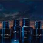 dior sauvage notino