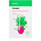 Dr.Jart+ Cicapair Intensive Soothing Repair Serum Mask