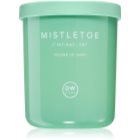 DW Home Definitions Mistletoe