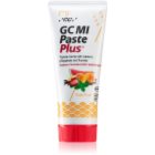 GC MI Paste Plus