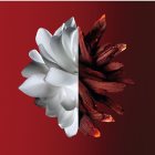 GIVENCHY L’Interdit Rouge Eau de Parfum pour femme