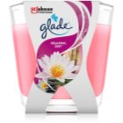 GLADE Relaxing Zen