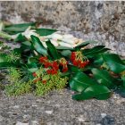 Gucci Bloom Acqua di Fiori tualetinis vanduo moterims | notino.lt