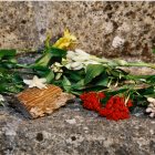 Gucci Bloom Profumo di Fiori Eau de Parfum da donna | notino.it