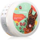 Hairy Tale Malinois