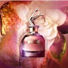 Jean Paul Gaultier Scandal Eau de Parfum hölgyeknek