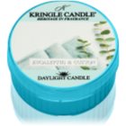 Kringle Candle Eucalyptus & Cotton