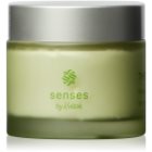 Kvitok Senses Thunder