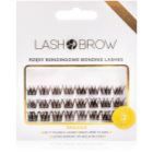 Lash Brow Bonding Eyelashes