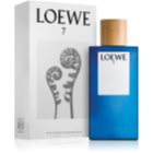 loewe notino