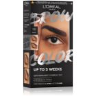 L’Oréal Paris Brow Color