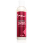 Mielle Mongongo Oil Exfoliating Shampoo