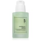Numbuzin - No.5 Goodbye Blemish Serum
