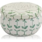 Paddywax Tulip Verbena &
