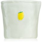 Paddywax Bistro Meyer Lemon