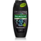 Palmolive Men Refreshing