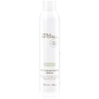 Paul Mitchell Style Extend Dry Conditioner Spray