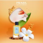 prada nue au soleil price