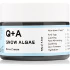 Q+A Snow Algae