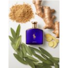 Gold blend discount eau de parfum