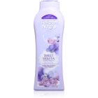 Tulipán Negro Sweet Violeta