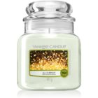 Yankee Candle Duftkerze All is Bright - 411 g
