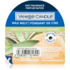 Yankee Candle Sage & Citrus